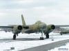 IL-28
